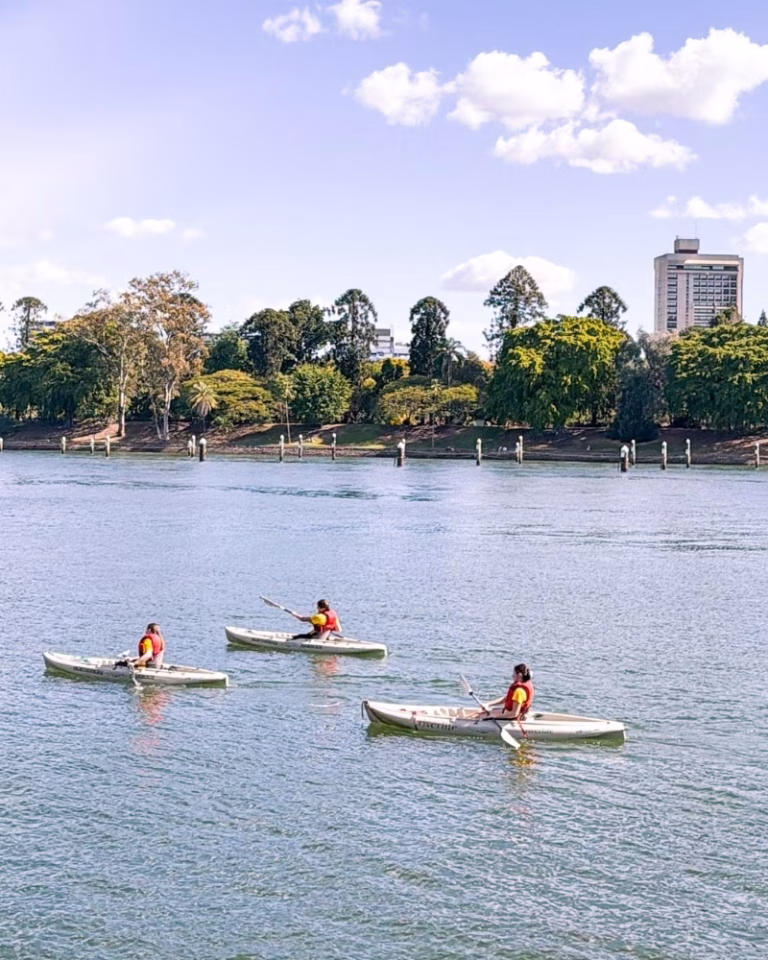 Kayakers paddling the Brisbane River near Kangaroo Point Cliffs Lookout