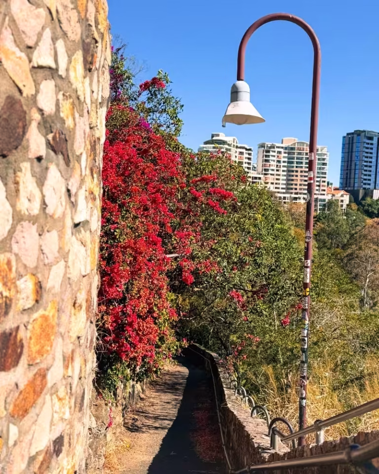 Staircase connecting the lower boardwalk to the clifftop at Kangaroo Point Cliffs Lookout
